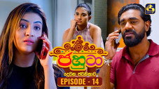Épisode 14
