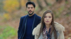 Épisode 11