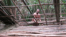 Vive la jungle