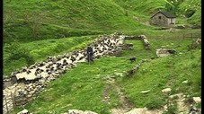 La transhumance
