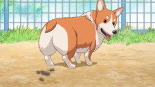 Épisode 5