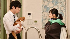 Épisode 9