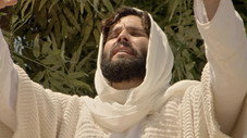 Épisode 195