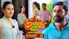 Épisode 48