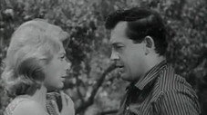 Héritage d'amour