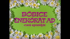 Épisode 13