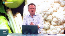 Épisode 6