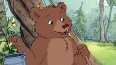 Petit-Ours et Hibou