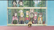 Épisode 11