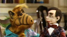 I'm Your Puppet
