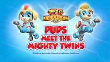 Mighty Pups, Super Paws: Pups Meet the Mighty Twins