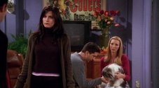 Aquele em que Chandler não gosta de cachorros