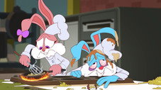 Toque Chefs !