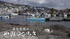 Épisode 147