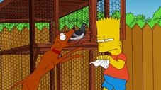 Como é que mastigava passarinho na janela?