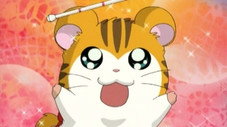 La chanson de Tigrette