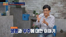 Épisode 31