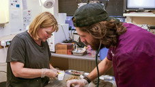 Épisode 6