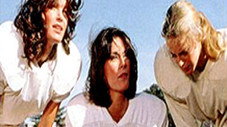 Angels in the Backfield