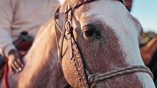 Toutes les couleurs du western