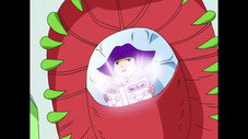 Épisode 141