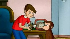 Hamster Cam