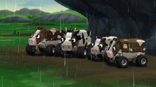 Transhumance