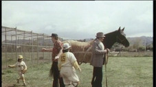 Épisode 5