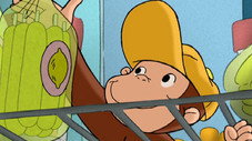 Épisode 46