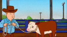 Rodeo Days