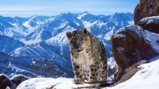 Montagnes