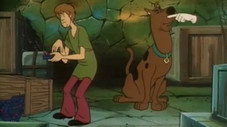 Épisode 4