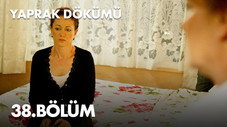 Épisode 38