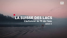 L'Automne au fil de l'eau