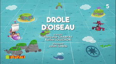 Drôle d'Oiseau