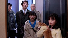 Épisode 6