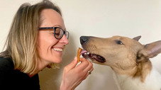 Mon chien est végan : nourrir son animal de compagnie sans viande