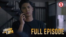 Épisode 14
