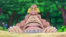 Assassinos da Mom! Luffy e a Mata Sedutora!