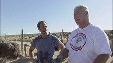 Épisode 8