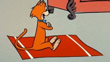 Le Tapis volant de Jinks