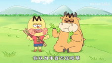 Épisode 798