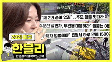Épisode 29