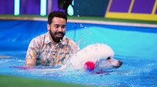 Épisode 4