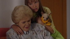 Épisode 22