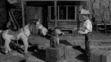 Épisode 35