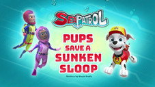 Sea Patrol: Pups Save a Sunken Sloop