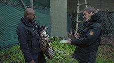 Épisode 1