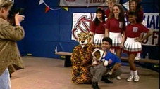 Le tigre aime les pom-poms