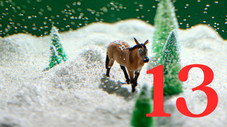 Épisode 13